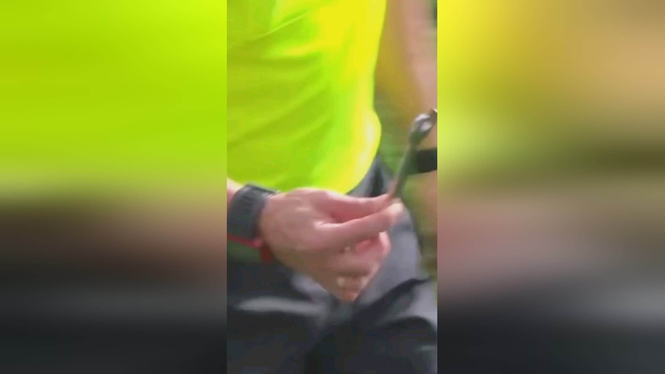 不少