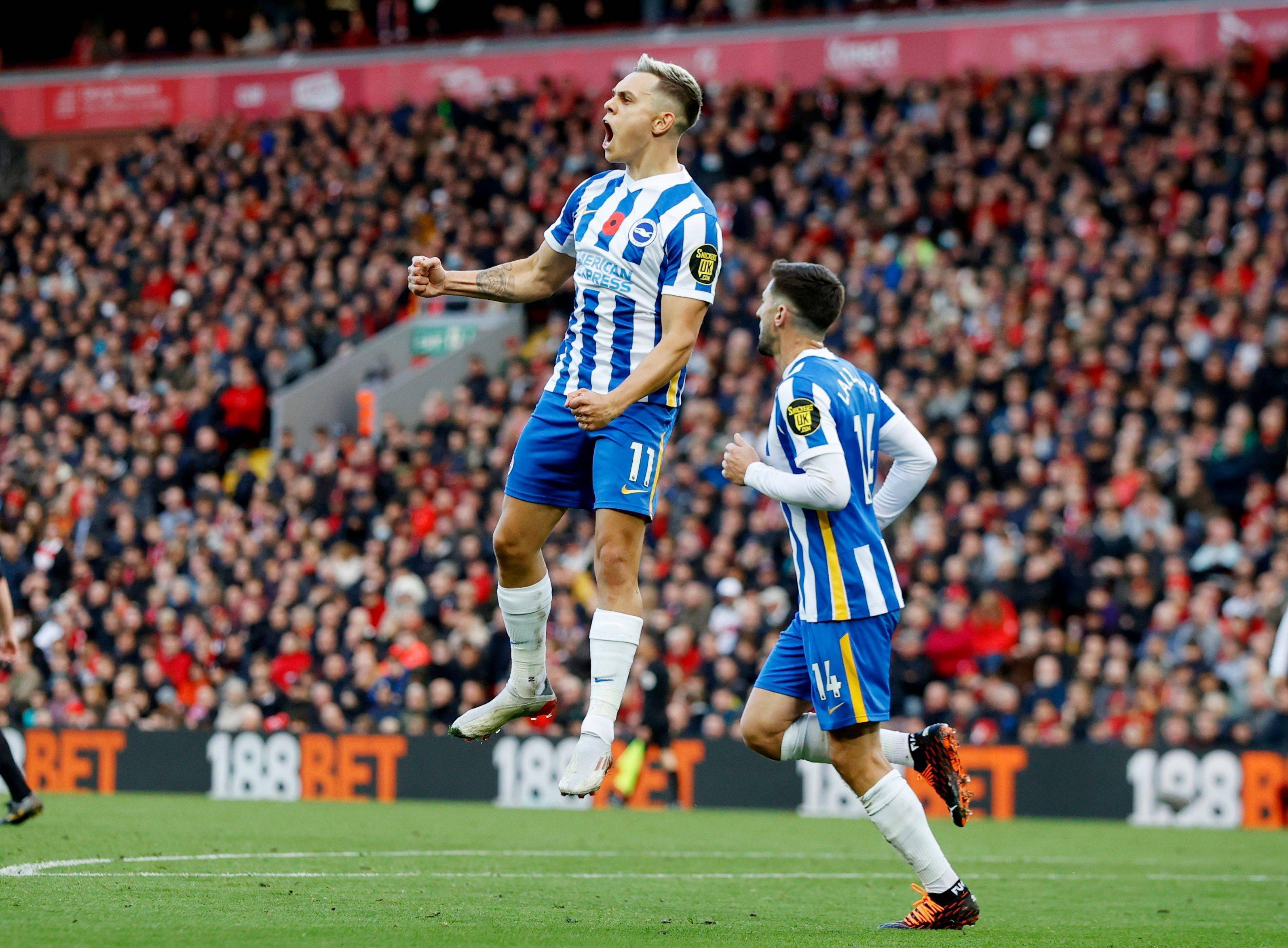 迅速适应了 迅速适应了